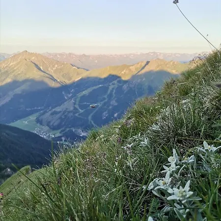 Fogadó Landgasthof Steiner 2*