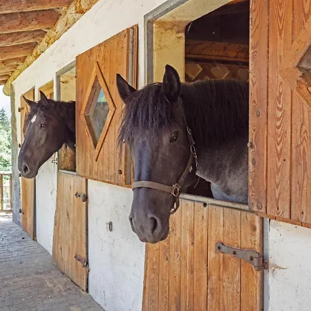 Landgasthof Steiner Matrei in Osttirol