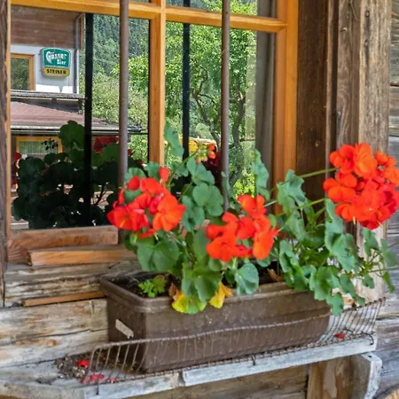 Landgasthof Steiner Πανδοχείο