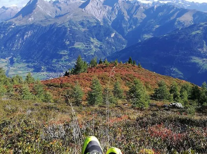 Landgasthof Steiner 2*