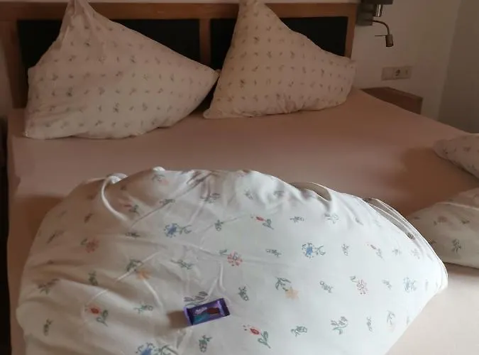 Landgasthof Steiner Inn Matrei in Osttirol