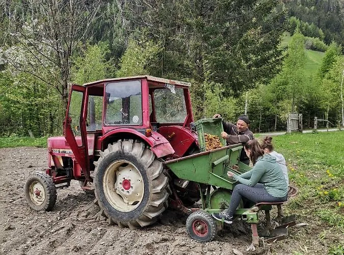 Landgasthof Steiner 2*