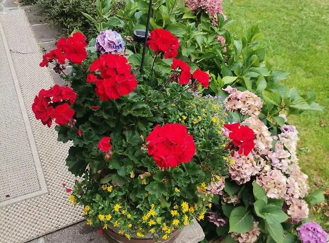 Landgasthof Steiner 2*