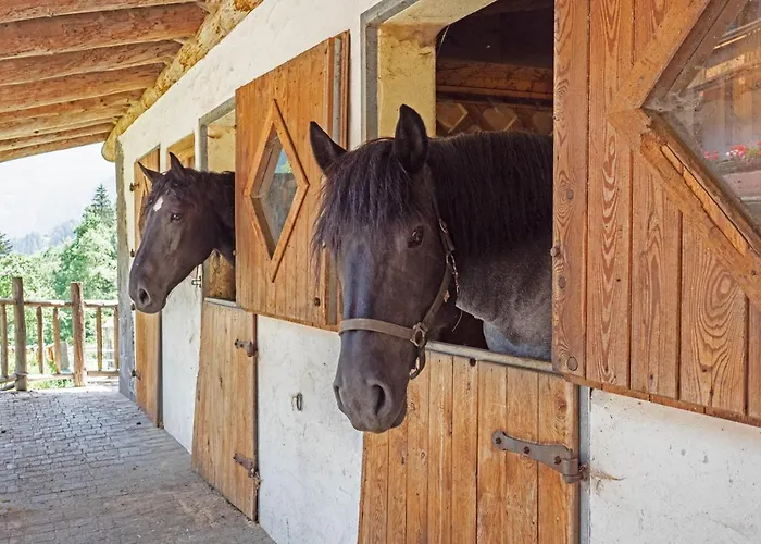 Landgasthof Steiner Matrei in Osttirol