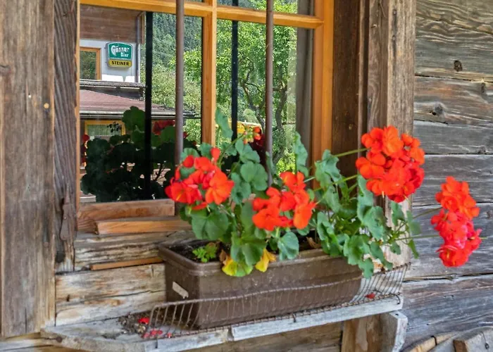 Landgasthof Steiner Inn