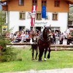 Landgasthof Steiner 마트레이 인 오스티롤
