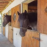 Landgasthof Steiner 마트레이 인 오스티롤