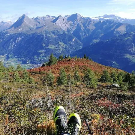 Landgasthof Steiner 2*