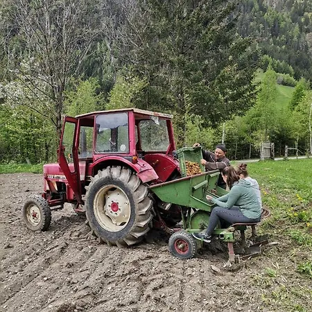 Landgasthof Steiner 2*