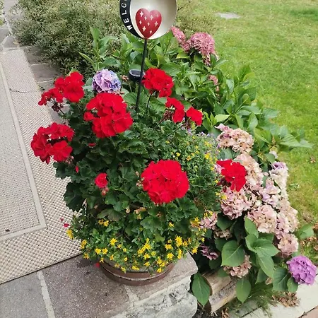 Landgasthof Steiner 2*